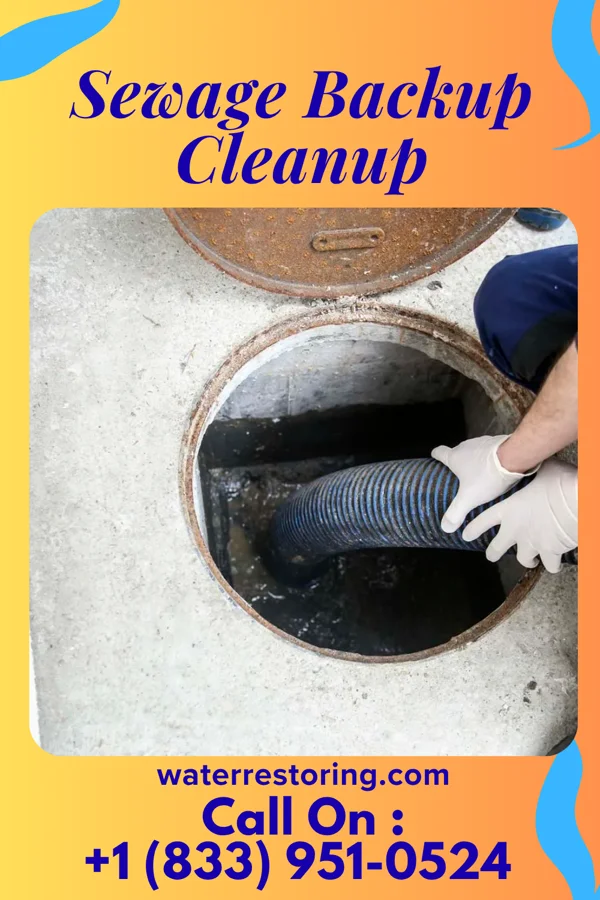 Sewage Backup Cleanup in Frederic, WI
