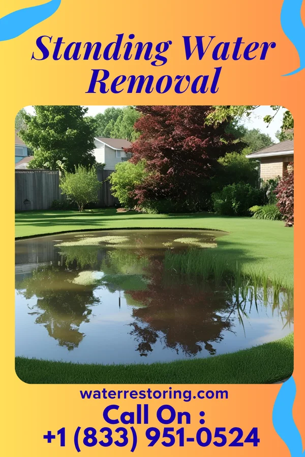 Standing Water Removal in Frederic, WI